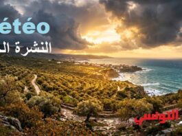 النشرة الجوية المفصلة لعطلة نهاية الأسبوع (السبت 19 والأحد 20 سبتمبر 2026)