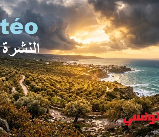 النشرة الجوية المفصلة لعطلة نهاية الأسبوع (السبت 19 والأحد 20 سبتمبر 2026)